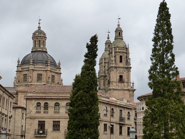 Salamanca catedral