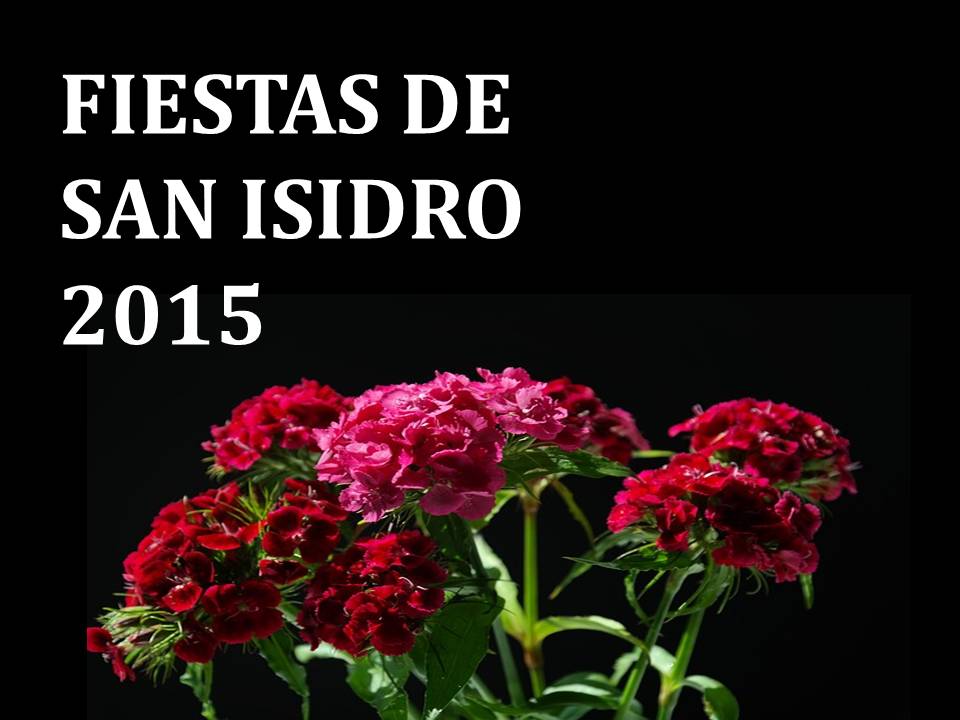 San Isidro 2015