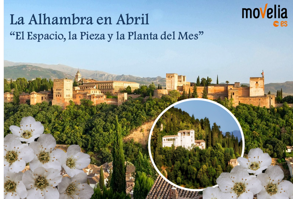 La Alhambra en Abril el espacio la pieza y la planta del mes